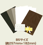 B5サイズ